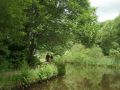 We were lucky to travel this canal in June when the trees and plants are at their best. In particular there were several notable stands of yellow iris. Our crew for the stretch from Stalybridge to the Diggle summit actually walked all the way as the gap between locks was never more than a few hundred yards. For a little-used canal the towpath was good. - Location: Mossley - Canal: Huddersfield Narrow