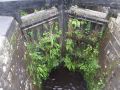 Both gates - they really are amazingly overgrown with happy herbage and ought to win some kind of prize!  - Location: Slaithewaite - Canal: Huddersfield Narrow