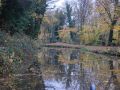 Leaves were a quite a problem on this stretch between Handsacre and Rugeley. They kept building up on the propellor and meant we had to clear it every mile or so by revving briefly in reverse gear. - Location: Rugeley - Canal: Trent and Mersey