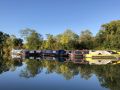 A picture-perfect autumn morning at Gayton Marina. - Location: Gayton Marina - Canal: Grand Union -Main Line