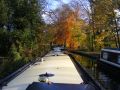 The canal is very leafy all the way from Great Haywood to Fradley Junction. This autumn the colours were superb and we were lucky enough to have some sunshine to bring the colours out beautifully. - Location: Near Wolsey Bridge - Canal: Trent and Mersey