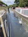Family of swans passed us going through Braunston