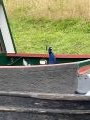 A unusual boat dweller at Ellesmere!
